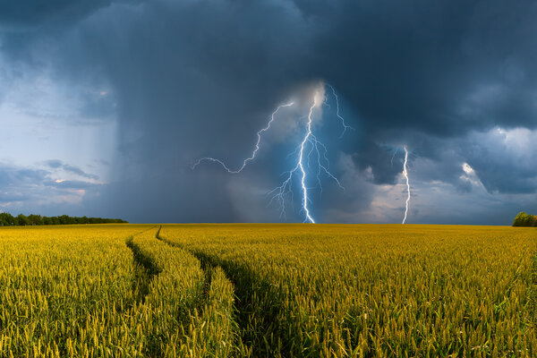 Bild vergr&ouml;&szlig;ern: Gewitter